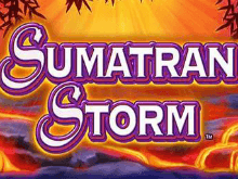 Sumatran Storm