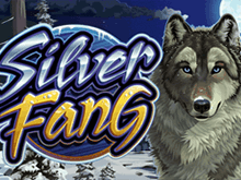 Silver Fang