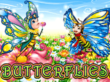 Butterflies