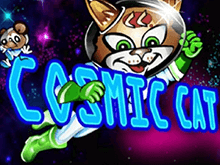 Cosmic Cat