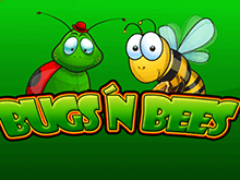 Bugs & Bees