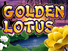 Golden Lotus